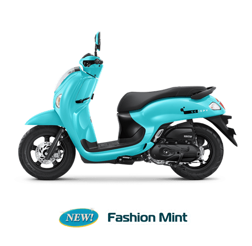 new scoopy fashion mint